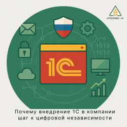 Почему внедрение 1С в компании - шаг к цифровой независимости